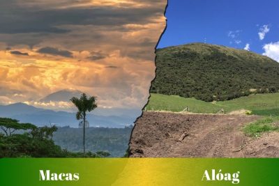 Ruta de Macas a Alóag: Pasajes, cooperativas, horarios y terminales