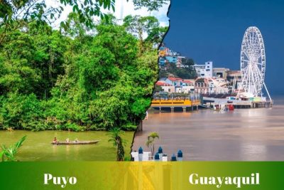Ruta de Puyo a Guayaquil: Pasajes, horarios, cooperativas