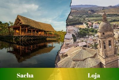 Ruta de Sacha a Loja: Pasajes, cooperativas, horarios y terminales
