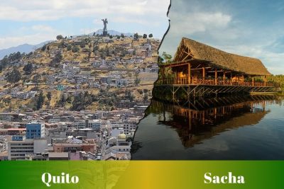 Ruta de Quito a Sacha: Pasajes, cooperativas, horarios y terminales