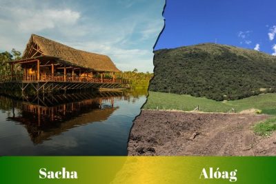 Ruta de Sacha a Alóag: Pasajes, cooperativas, horarios y terminales