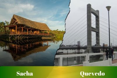 Ruta de Sacha a Quevedo: Pasajes, cooperativas, horarios y terminales