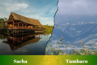 Ruta de Sacha a Tumbaco: Pasajes, cooperativas, horarios y terminales