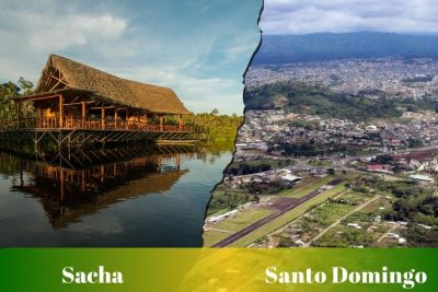 Ruta de Sacha a Santo Domingo: Pasajes, cooperativas, horarios y terminales